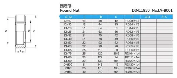 Sanitary Stainless Steel Pipe Fitting DIN Round Nut